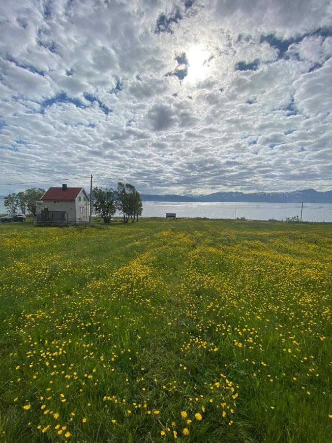 Unique And Charming Holiday Home With Fantastic Sea Views Тромсе Екстер'єр фото