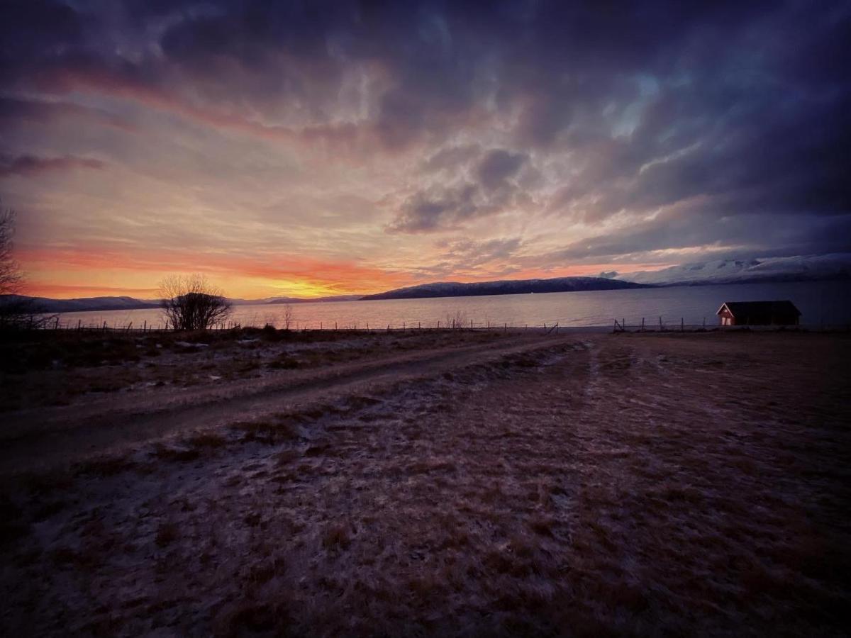 Unique And Charming Holiday Home With Fantastic Sea Views Тромсе Екстер'єр фото