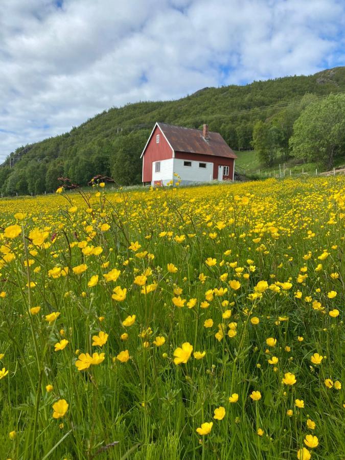 Unique And Charming Holiday Home With Fantastic Sea Views Тромсе Екстер'єр фото