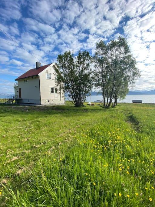 Unique And Charming Holiday Home With Fantastic Sea Views Тромсе Екстер'єр фото