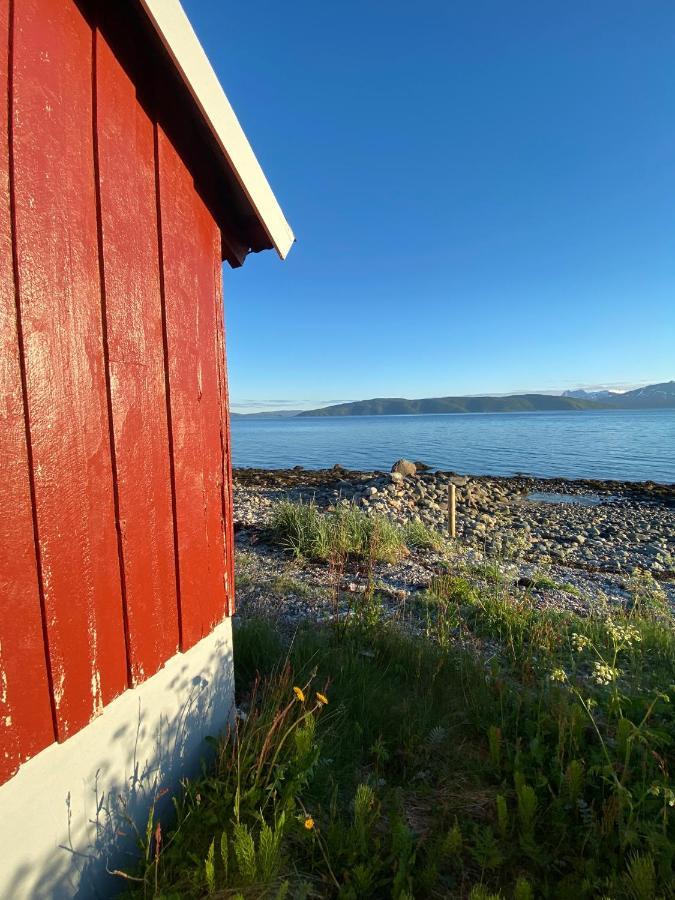 Unique And Charming Holiday Home With Fantastic Sea Views Тромсе Екстер'єр фото