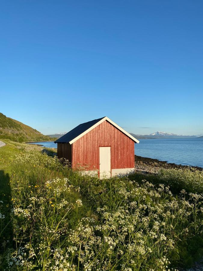 Unique And Charming Holiday Home With Fantastic Sea Views Тромсе Екстер'єр фото