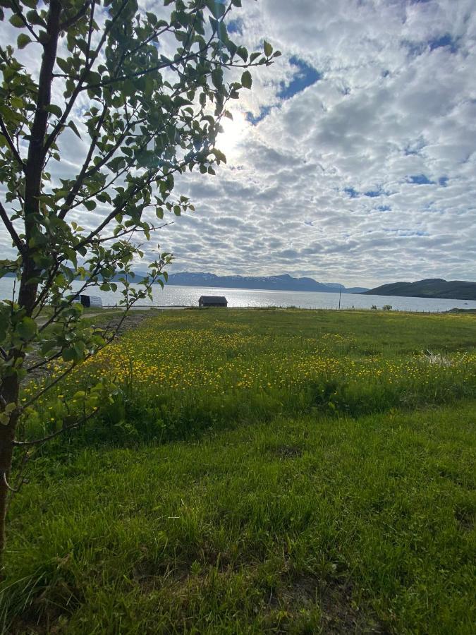 Unique And Charming Holiday Home With Fantastic Sea Views Тромсе Екстер'єр фото