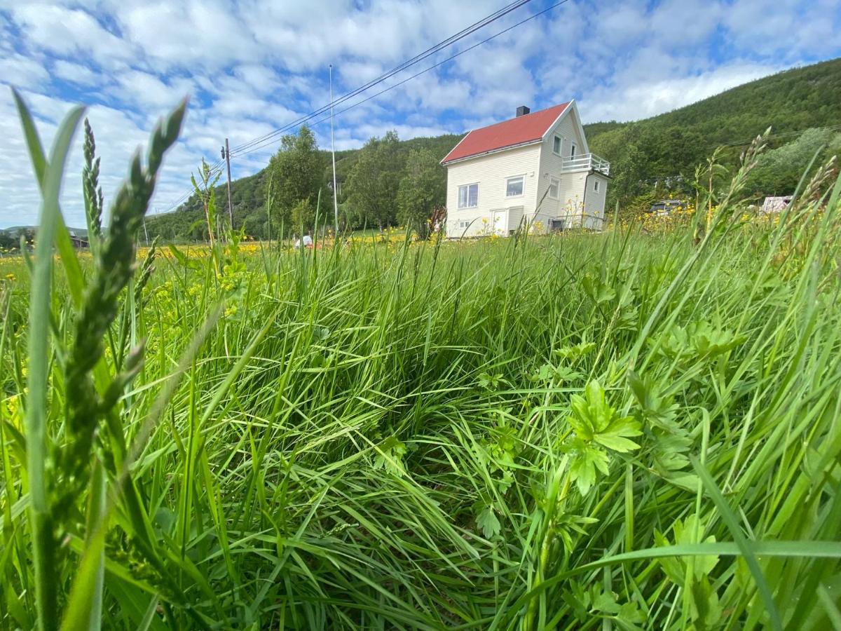 Unique And Charming Holiday Home With Fantastic Sea Views Тромсе Екстер'єр фото