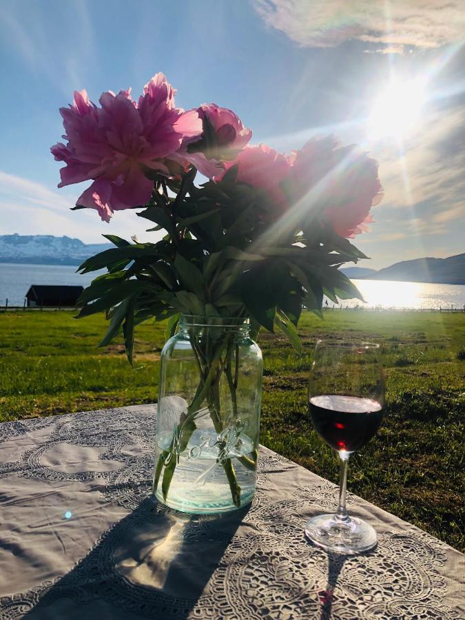 Unique And Charming Holiday Home With Fantastic Sea Views Тромсе Екстер'єр фото