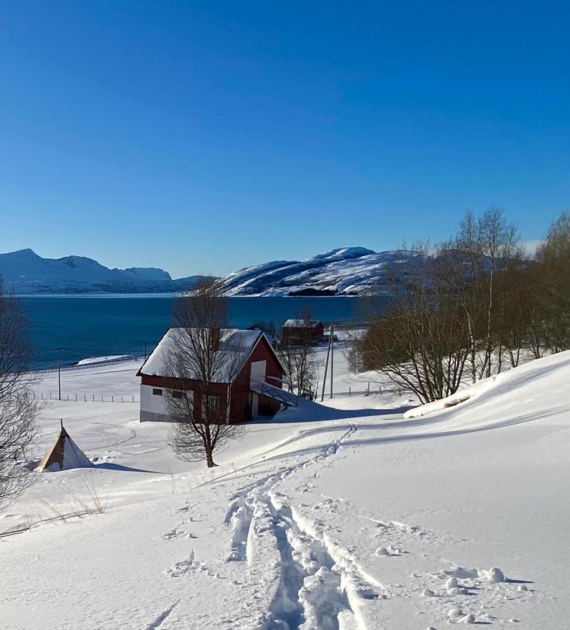 Unique And Charming Holiday Home With Fantastic Sea Views Тромсе Екстер'єр фото